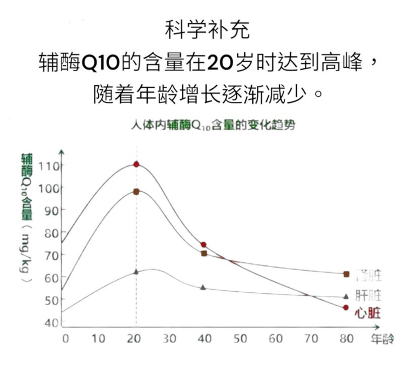 輔酶Q10軟膠囊 - Image 5